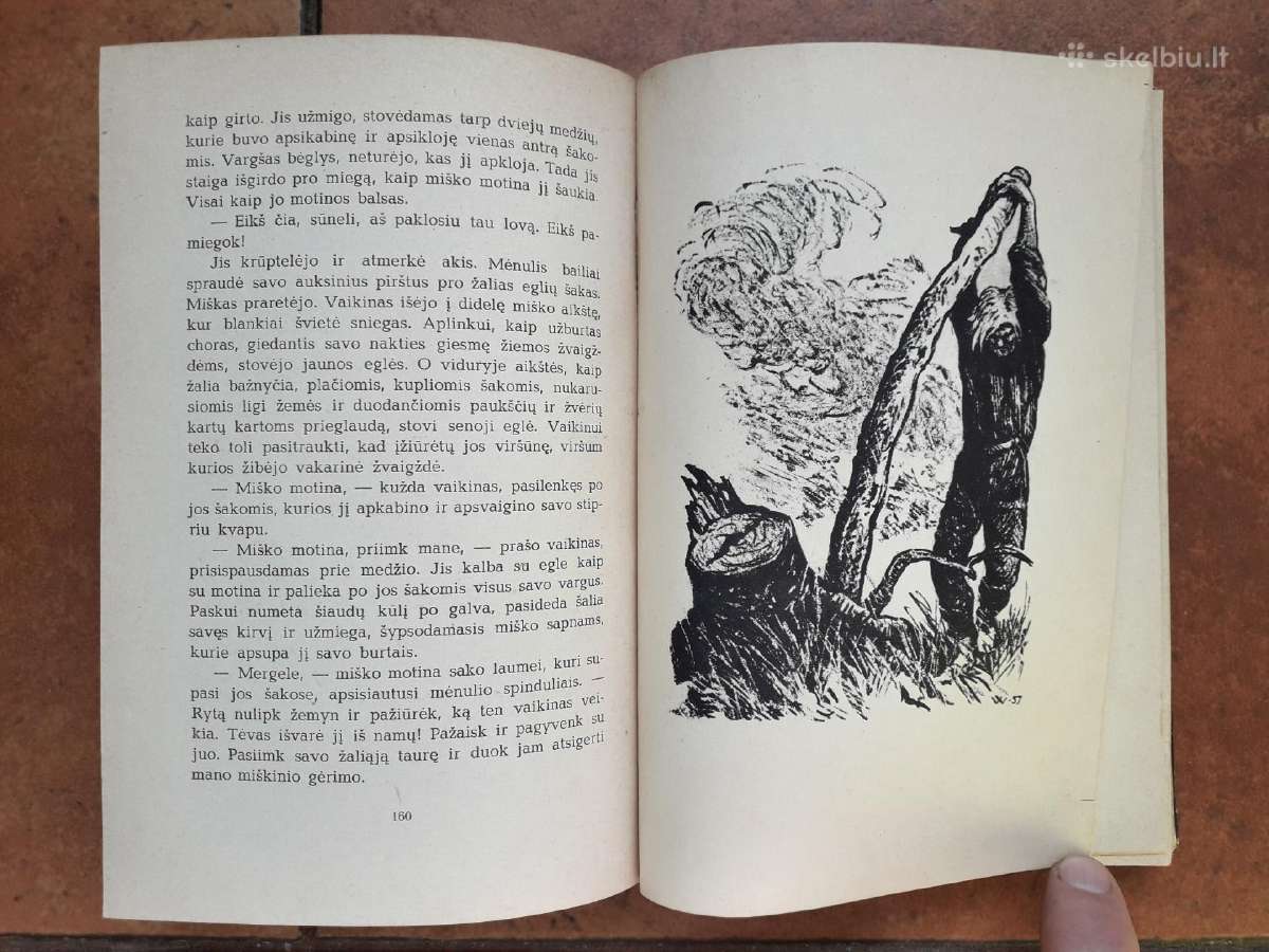 K. Skalbė "Paparčio žiedas" 1959 metai - nuotraukos Nr. 6