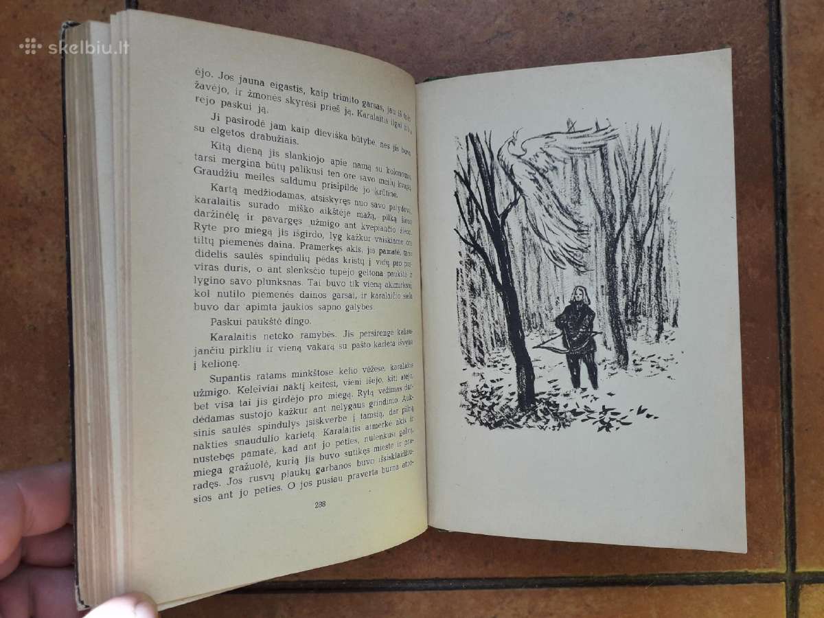 K. Skalbė "Paparčio žiedas" 1959 metai - nuotraukos Nr. 12