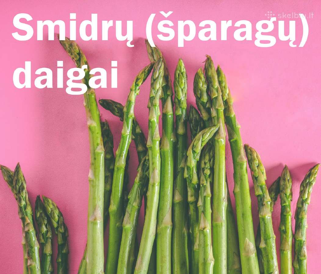Smidrų (Šparagų) daigai olandiški - nuotraukos Nr. 7