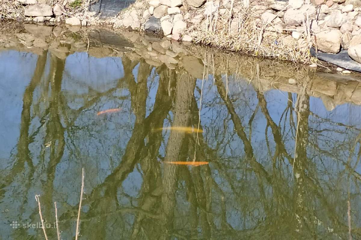 Sodyba Pirtis Kubilas prie Vilniaus (Minsko pl.) - nuotraukos Nr. 18