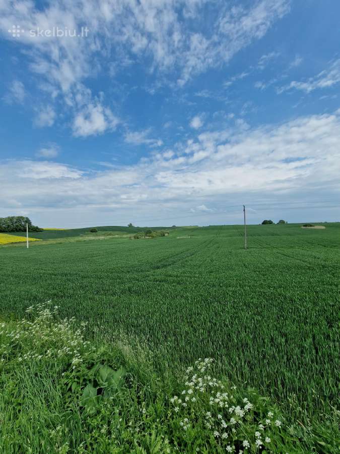 Zemes Sklypas - Skelbiu.lt