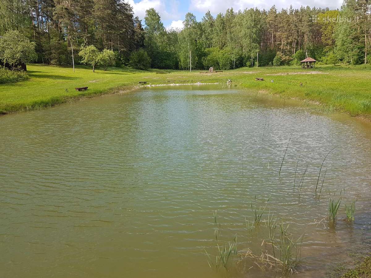Sodybos su pirtim nuoma Anyksciu raj, - nuotraukos Nr. 11