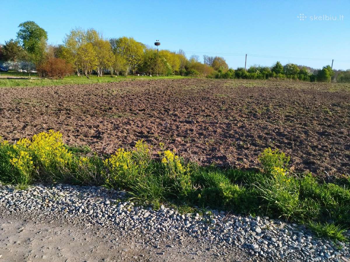 Sklypai po 12a. Klaipėdoje.