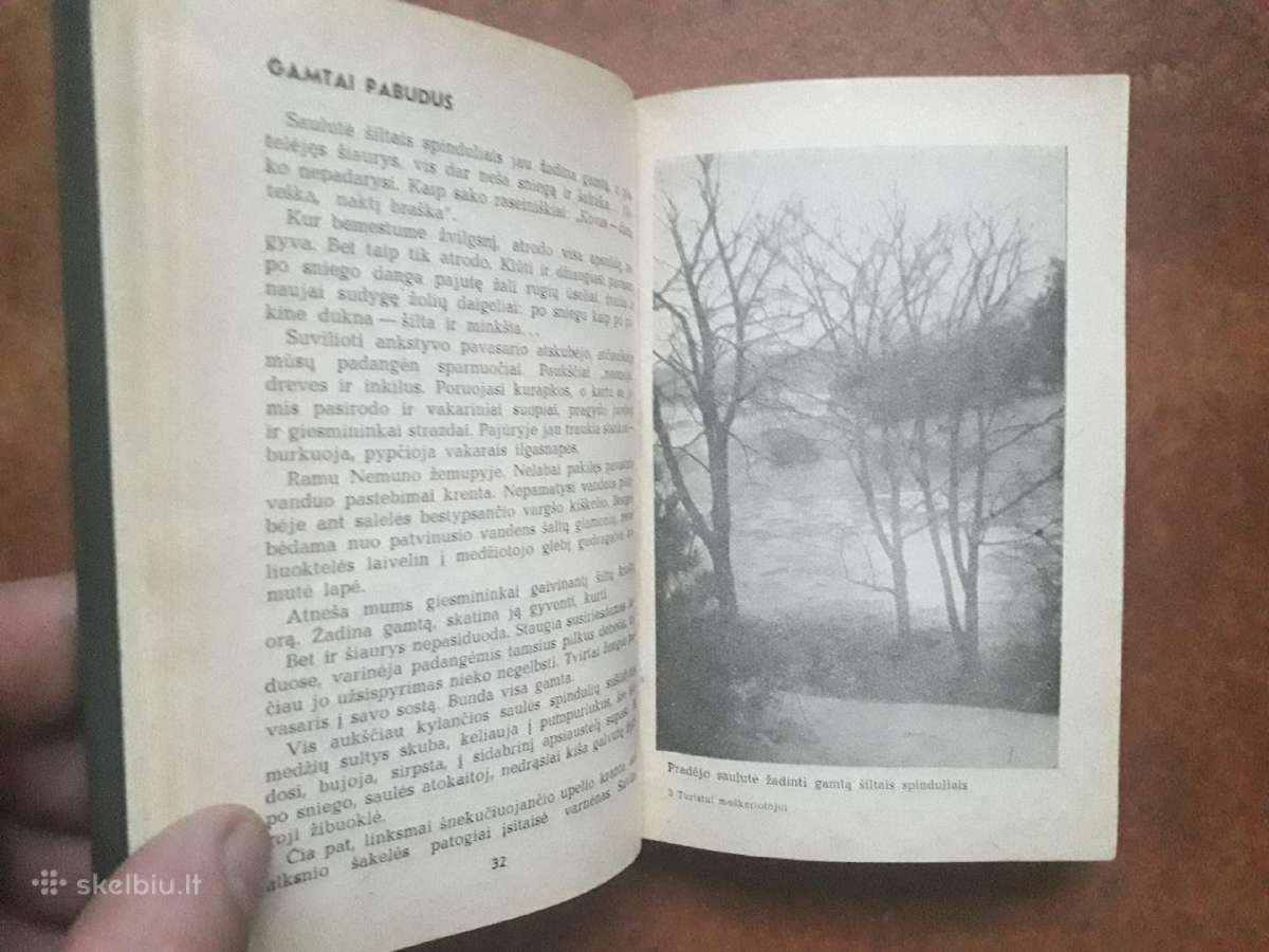 Kur žvejoti? Ką žvejoti? Ir kaip žvejoti? - nuotraukos Nr. 6