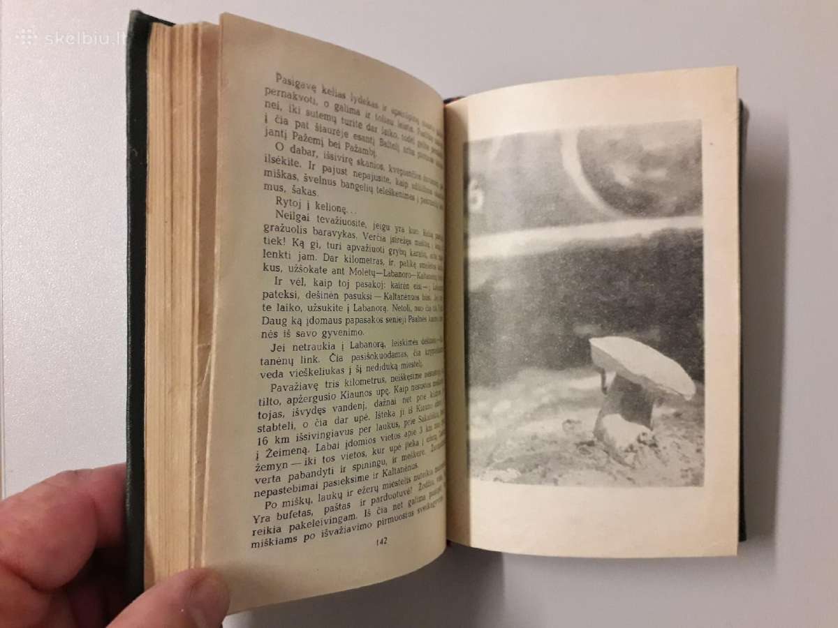 Žūklės gidas po vandens telkinius - nuotraukos Nr. 13