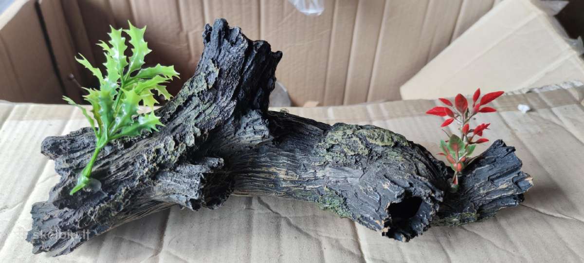 Akvariumo dekoracija