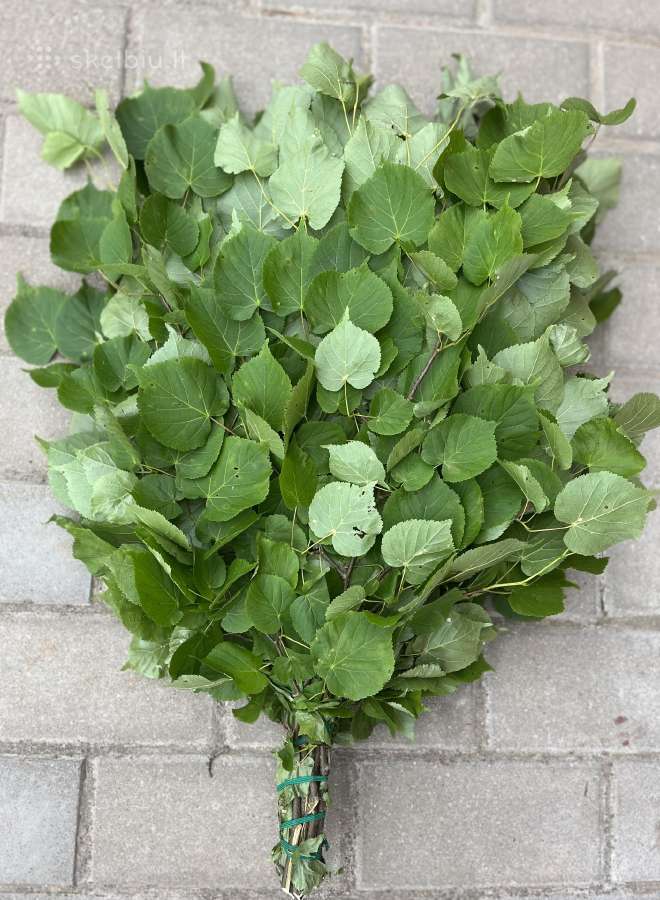 Kokybiškos pirties vantos - nuotraukos Nr. 7