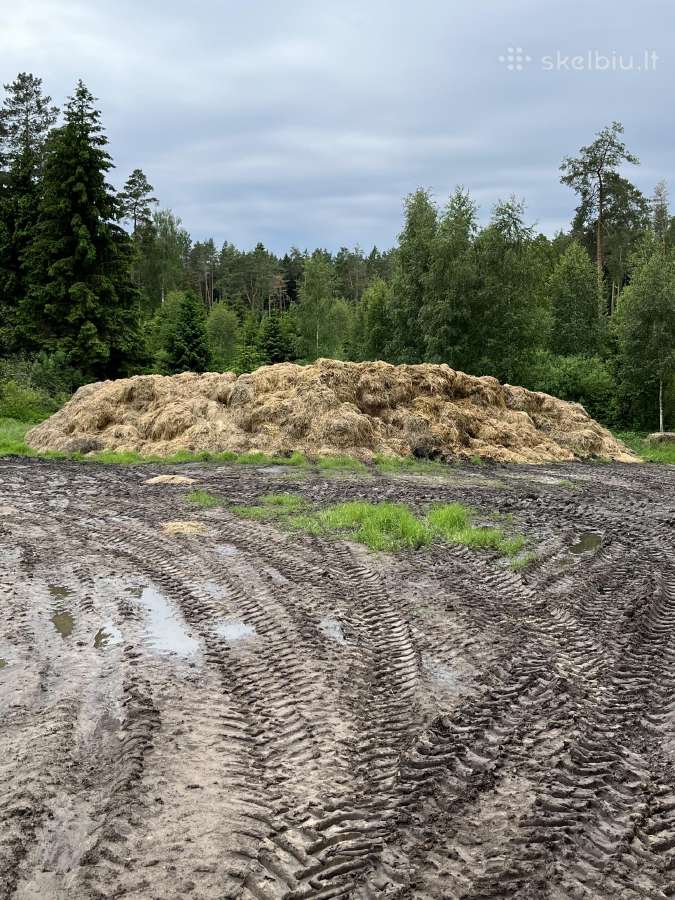 Arklių šiaudų mėšlas