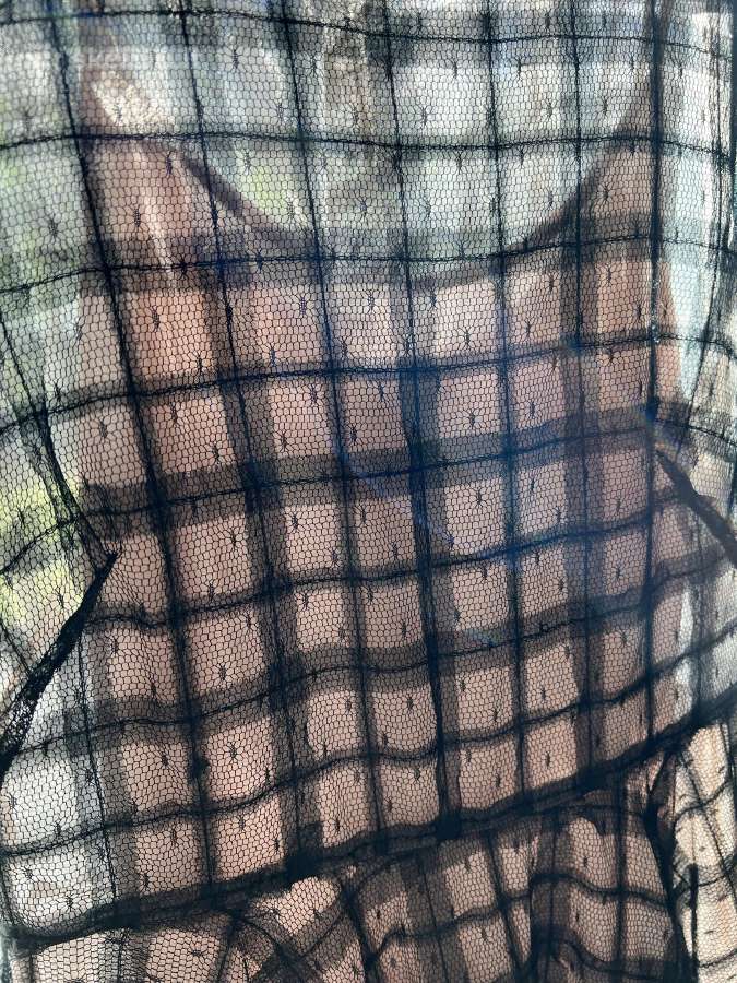 Proginė vintažinė Red Valentino suknelė - nuotraukos Nr. 7