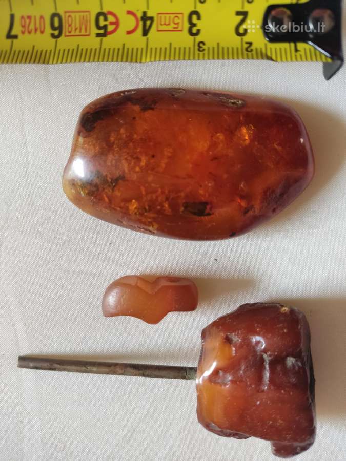 Papuosalai-gintaras - nuotraukos Nr. 14