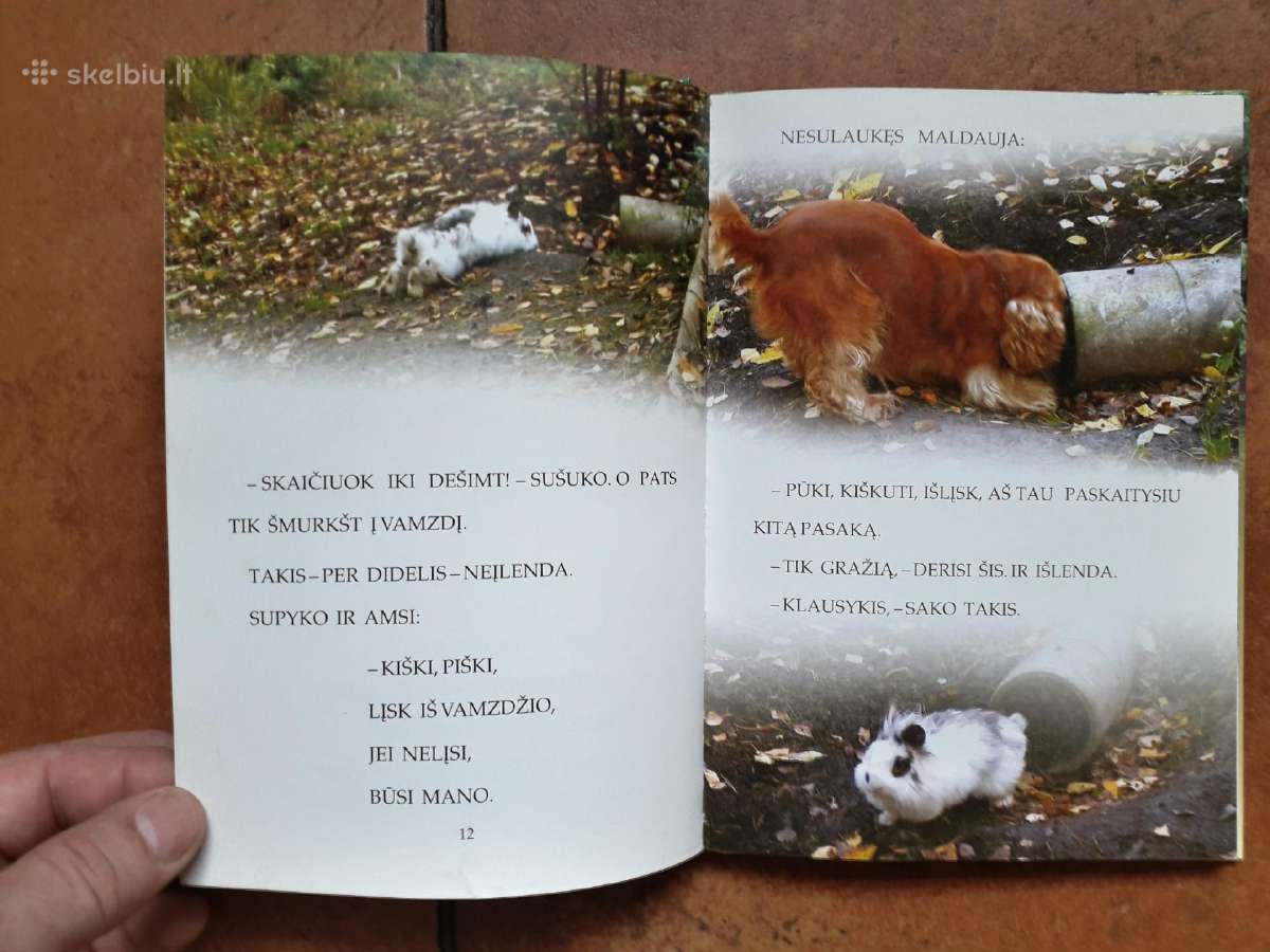 Labai gražios knygelės vaikučiams - nuotraukos Nr. 6