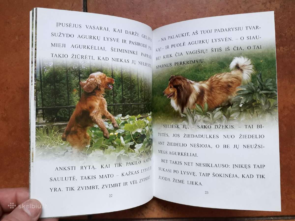 Labai gražios knygelės vaikučiams - nuotraukos Nr. 8