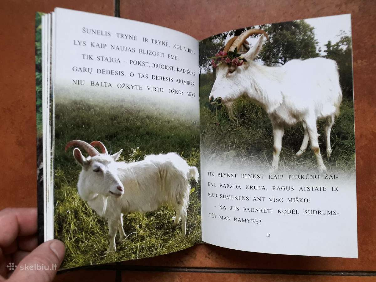 Labai gražios knygelės vaikučiams - nuotraukos Nr. 9
