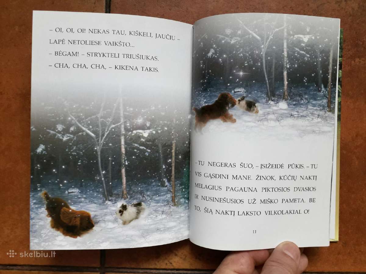 Labai gražios knygelės vaikučiams - nuotraukos Nr. 11