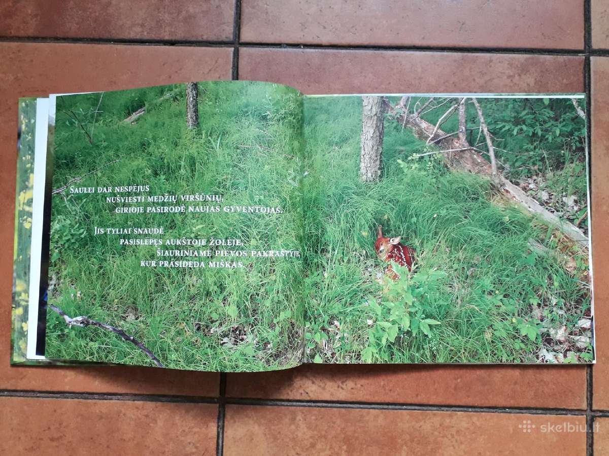 Labai gražios knygelės vaikučiams - nuotraukos Nr. 17