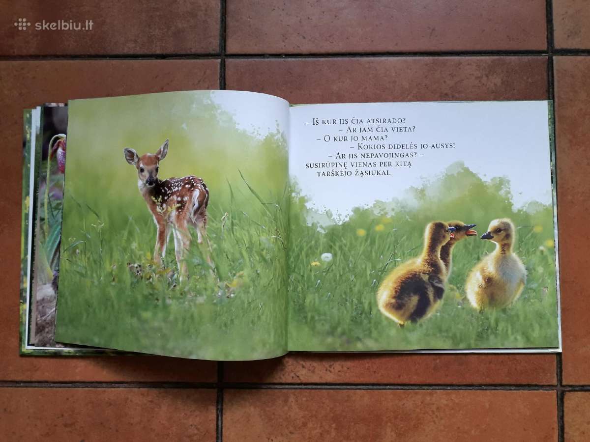 Labai gražios knygelės vaikučiams - nuotraukos Nr. 19