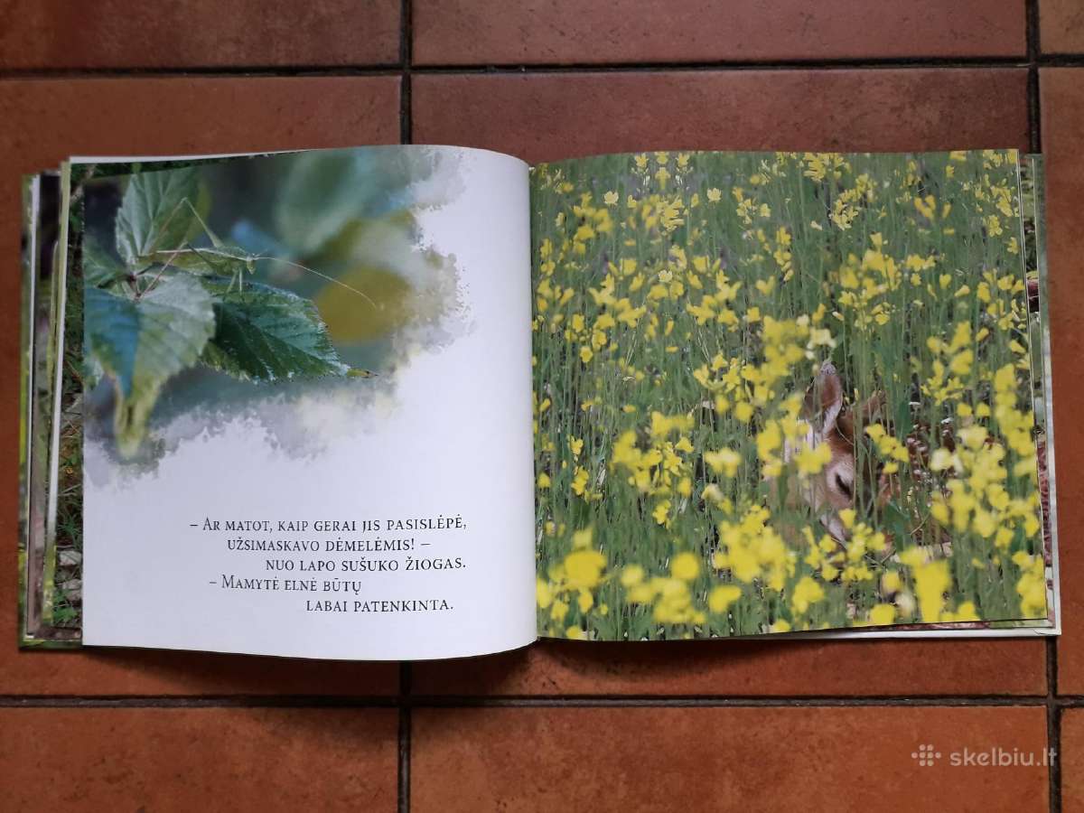 Labai gražios knygelės vaikučiams - nuotraukos Nr. 20