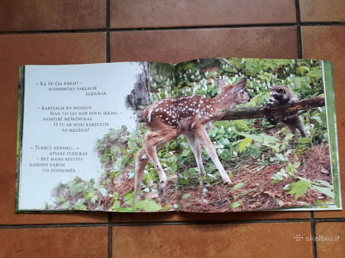 Labai gražios knygelės vaikučiams - nuotraukos Nr. 24
