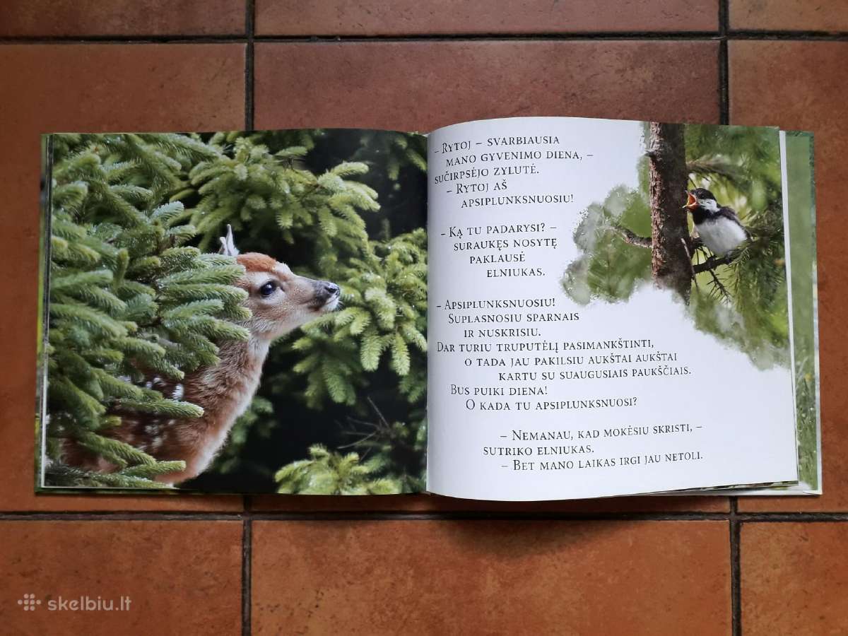 Labai gražios knygelės vaikučiams - nuotraukos Nr. 25