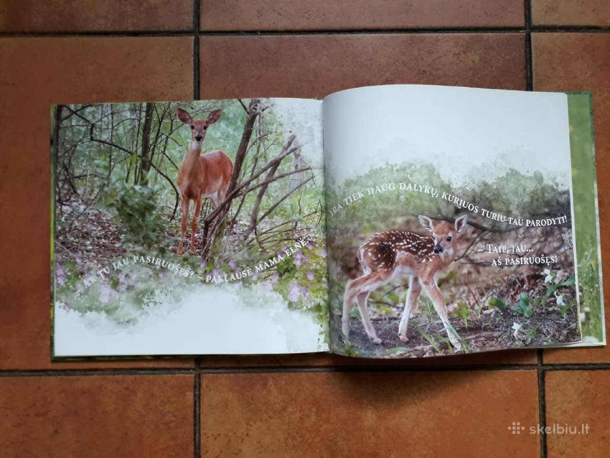 Labai gražios knygelės vaikučiams - nuotraukos Nr. 27