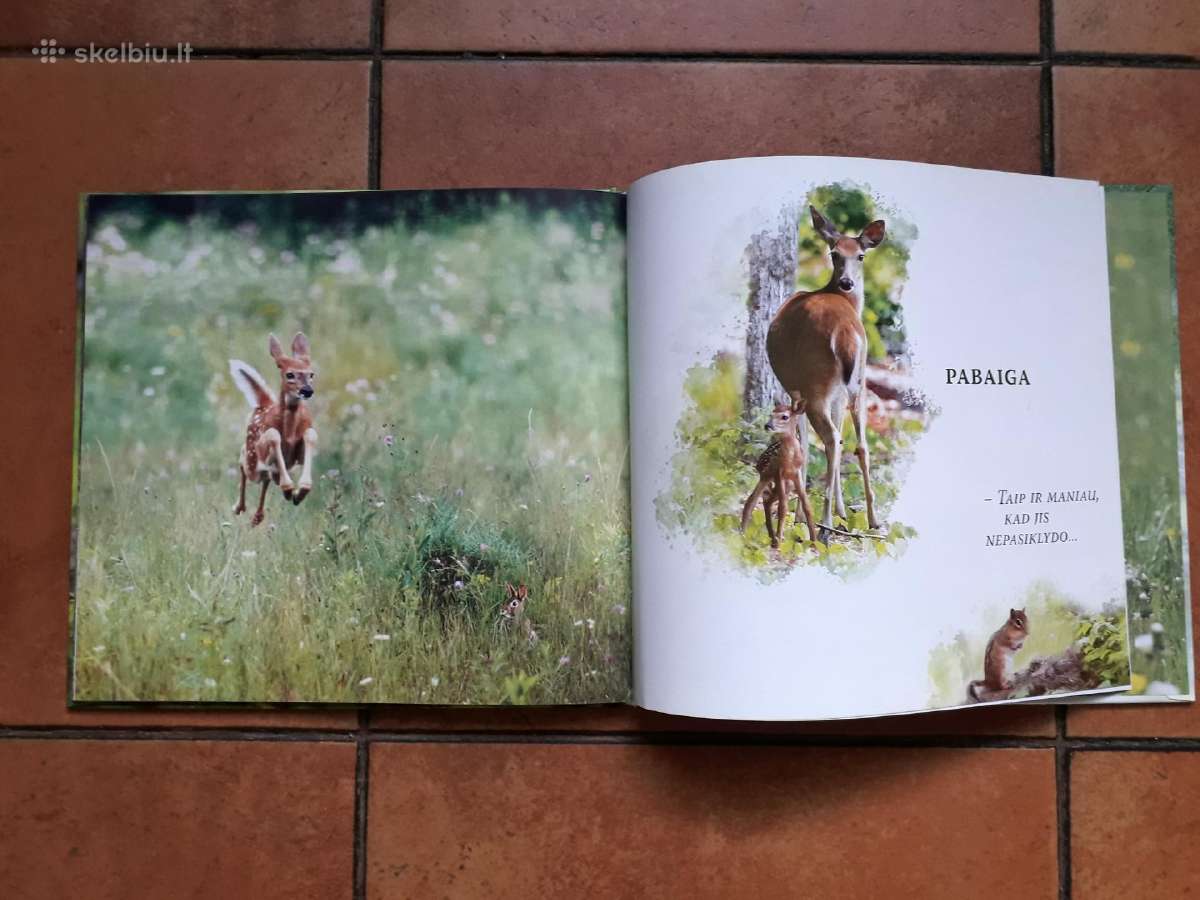 Labai gražios knygelės vaikučiams - nuotraukos Nr. 28