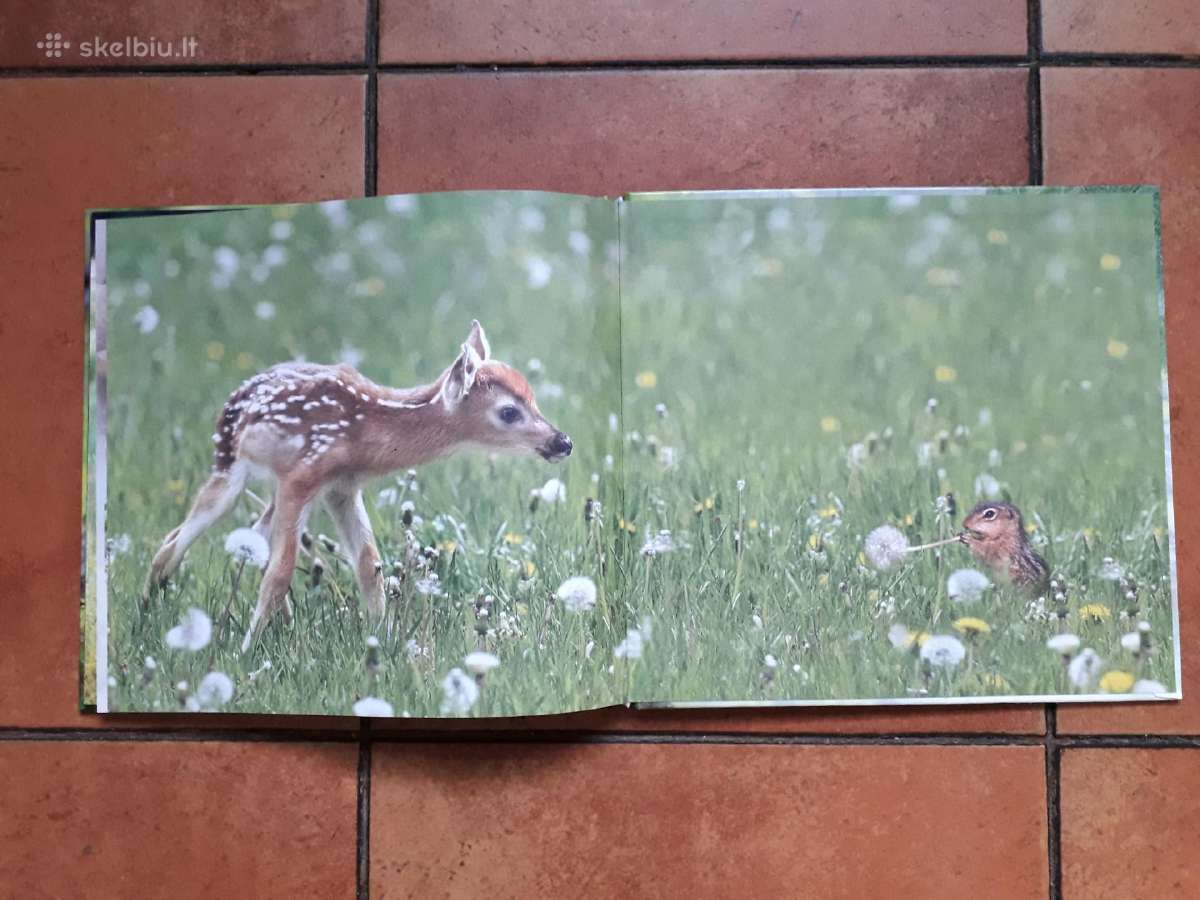 Labai gražios knygelės vaikučiams - nuotraukos Nr. 29
