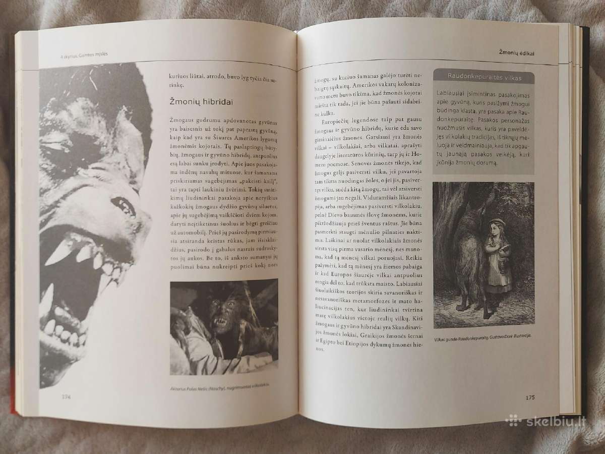 Vadovas paranormaliems reiškiniams pažinti - nuotraukos Nr. 3