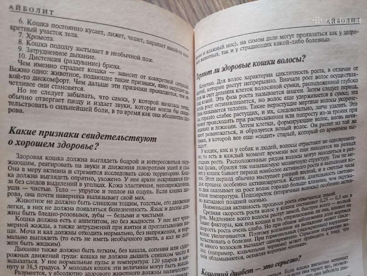 ,300 katiniškų kodėl?, - 1997m. - nuotraukos Nr. 5