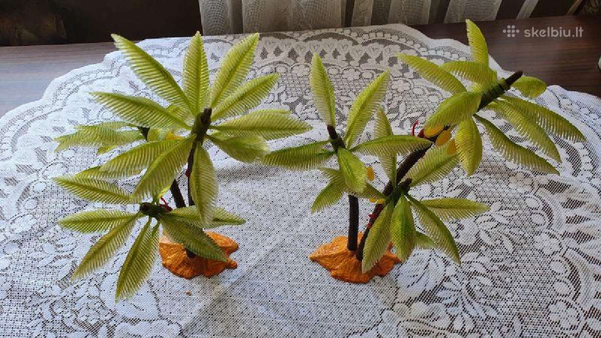 CcCCCP laikų palmės į sekciją