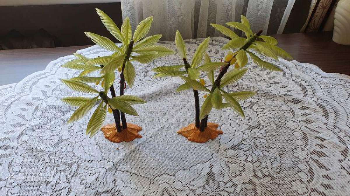 CcCCCP laikų palmės į sekciją - nuotraukos Nr. 5