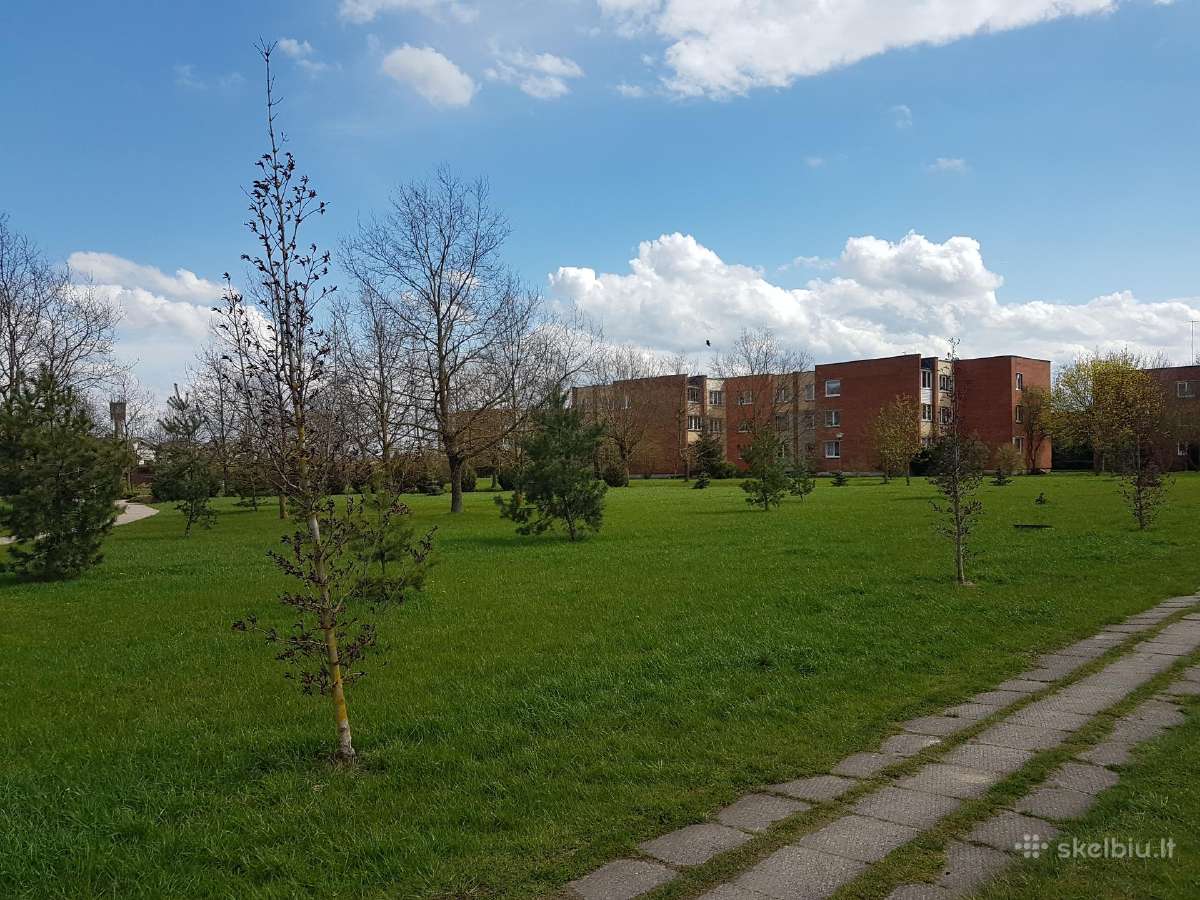 Nuomojamas 3 kambarių butas Mastaičiuose - nuotraukos Nr. 8