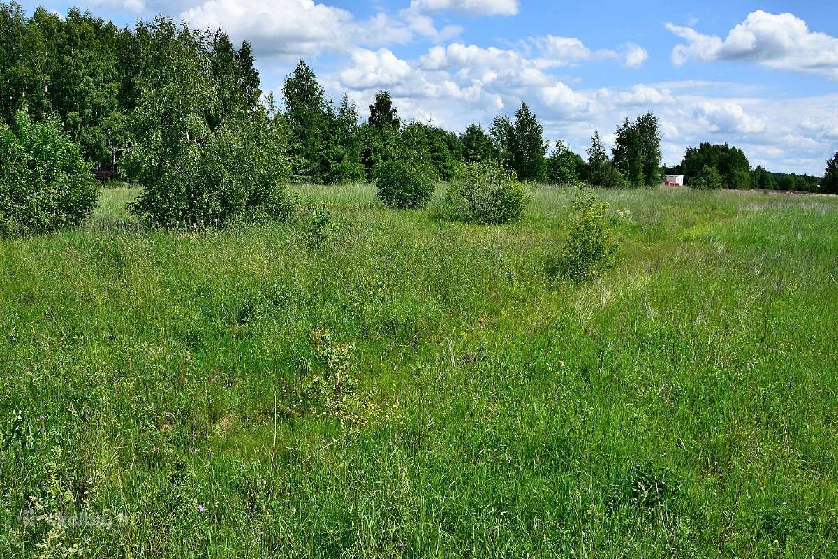 Sklypas Klaipėdos rajone, netoli Gargždų - nuotraukos Nr. 8