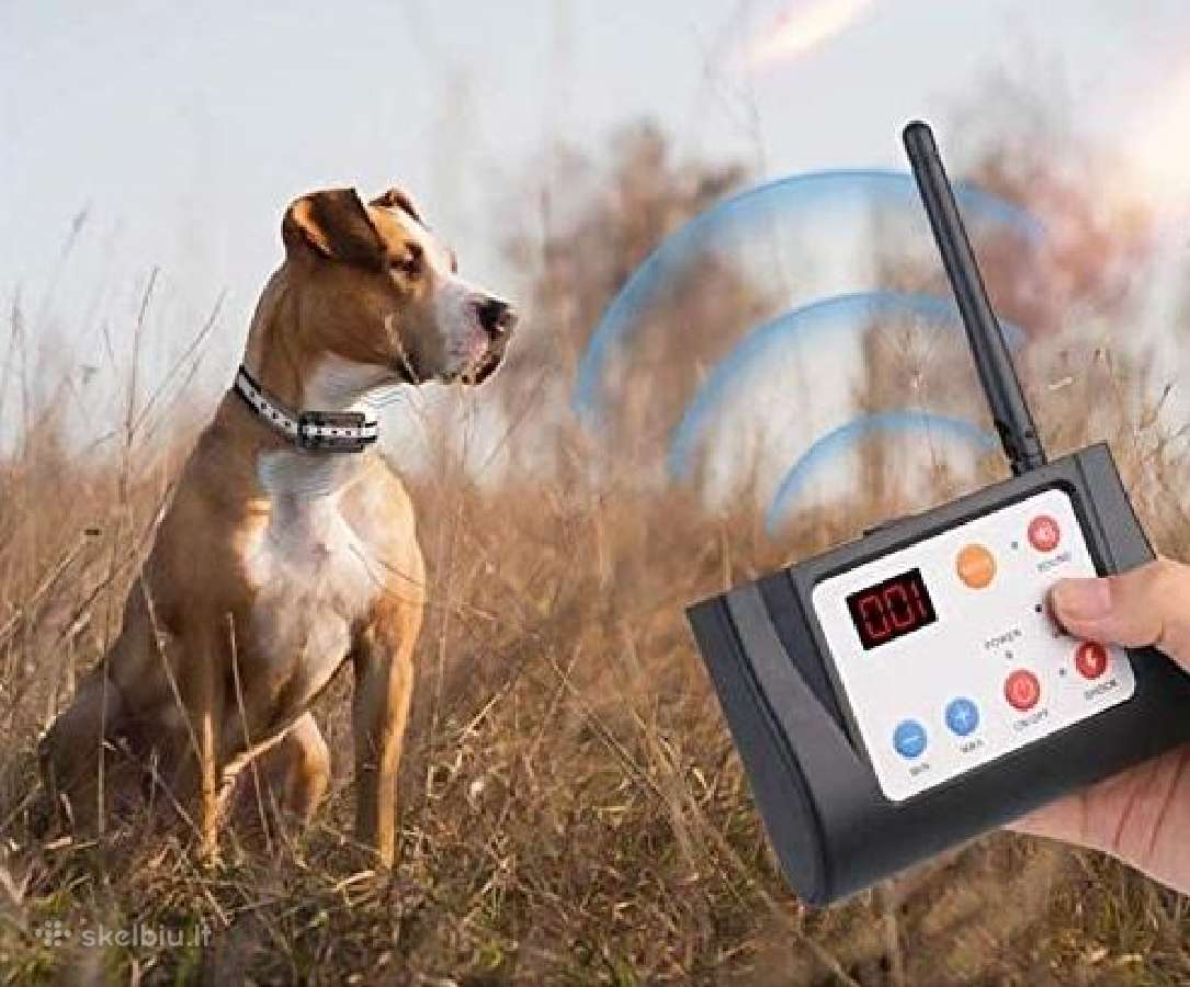 Nematoma bevielė elektrinė tvora Trims šunims du v - nuotraukos Nr. 2