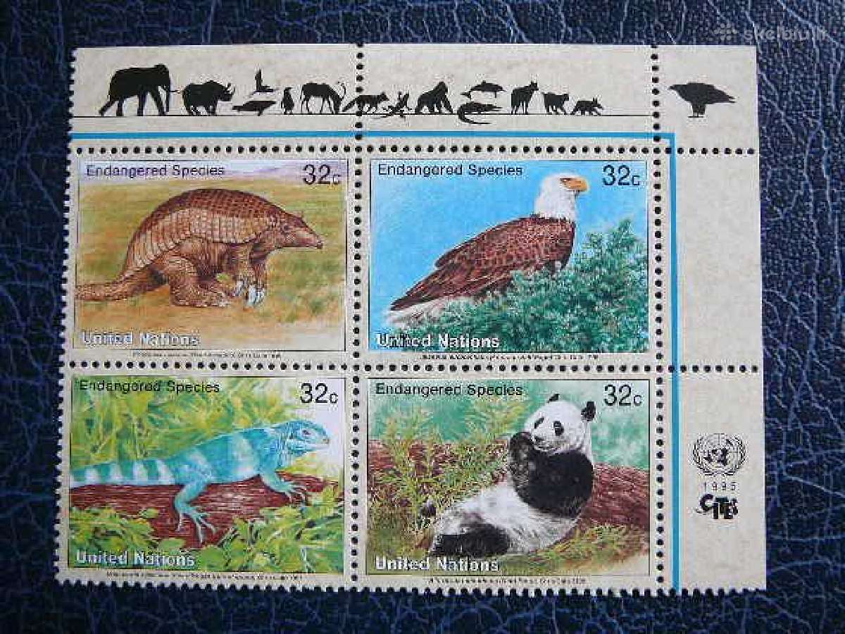 Pauksciai Pandos Ropliai Sno - (JAV) 1995 snj681