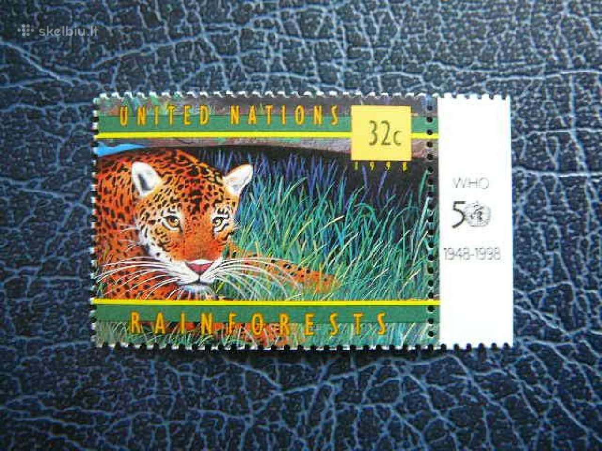 Jaguaras Kates laukines Sno - (JAV) 1998 snj783