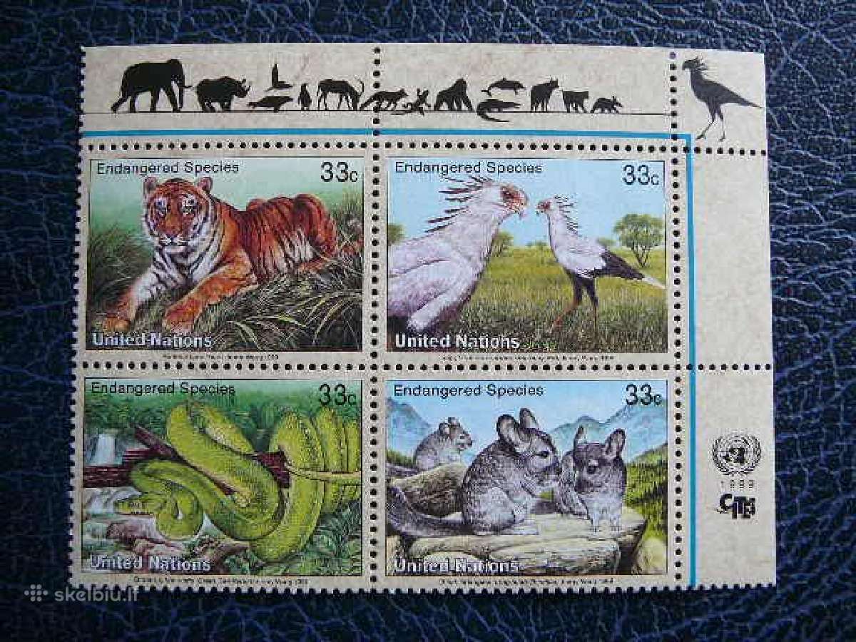 Tigrai Pauksciai Ropliai Sno - (JAV) 1999 snj815