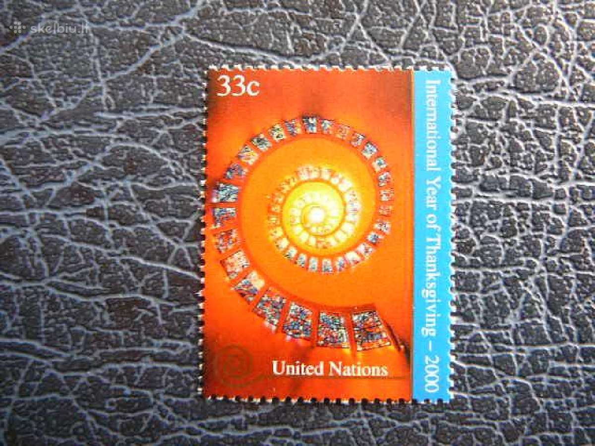 Padekos metai Sno - (JAV) 2000 Mnh snj830