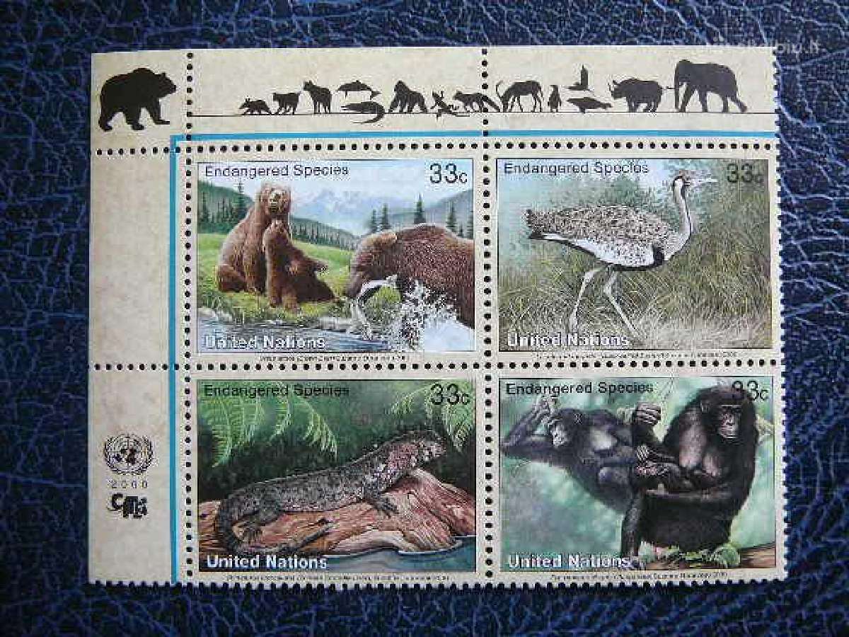 Meskos Bezdziones Sno - (JAV) 2000 Mnh snj831