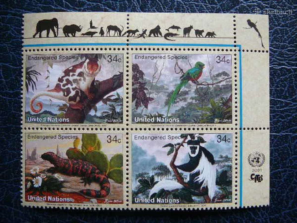 Bezdziones Pauksciai Sno - (JAV) 2001 Mnh snj856