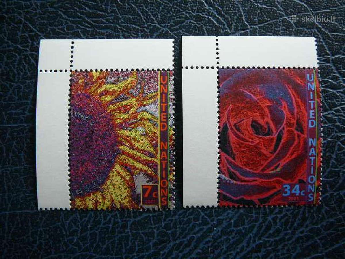 Rozes Saulegraza Sno - (JAV) 2001 Mnh snj870