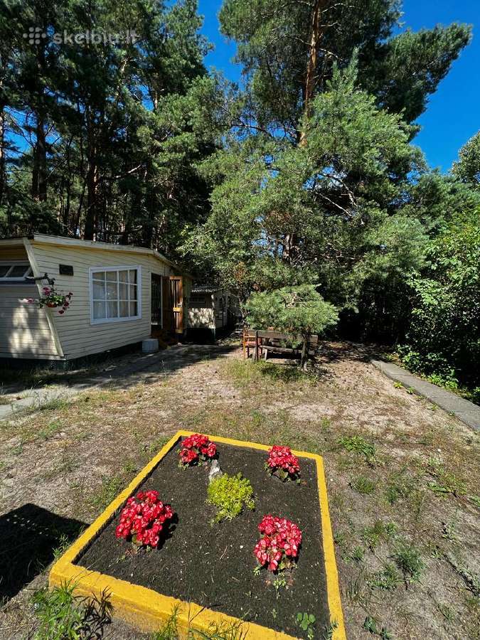 Nuomojame namelius prie jūros,pušyne, nuo 8eur/asm - nuotraukos Nr. 4