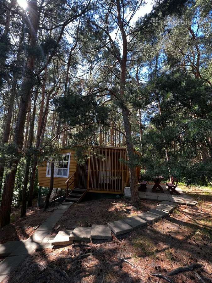 Nuomojame namelius pušyne,netoli jūros nuo 5eur/žm - nuotraukos Nr. 7