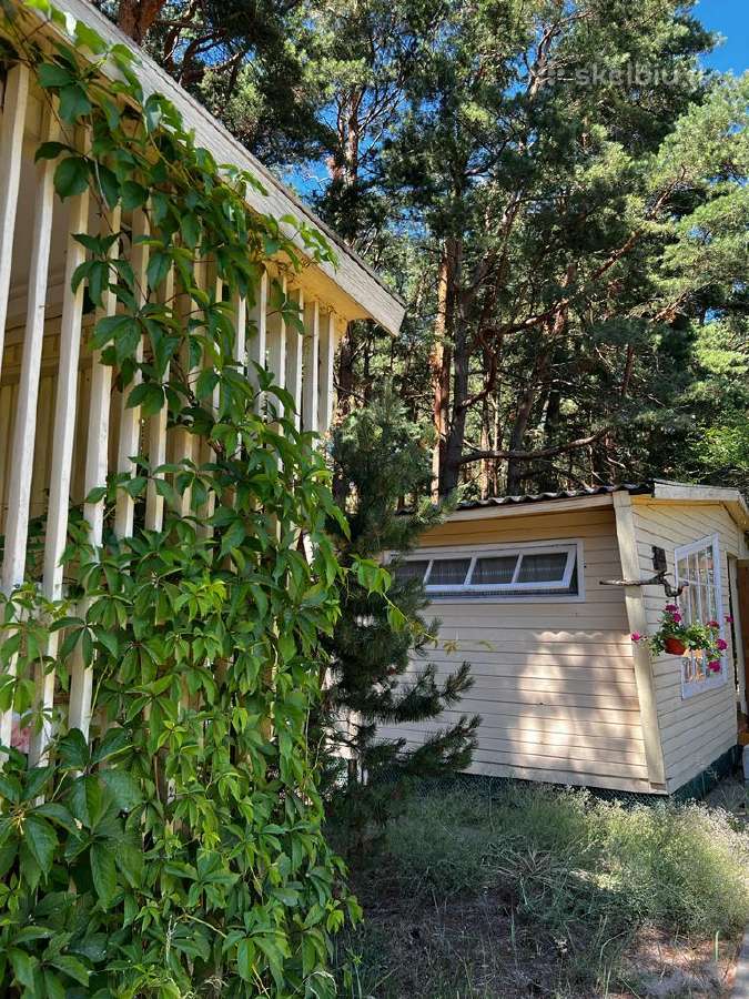 Nuomojame namelius pušyne,netoli jūros nuo 5eur/žm - nuotraukos Nr. 15