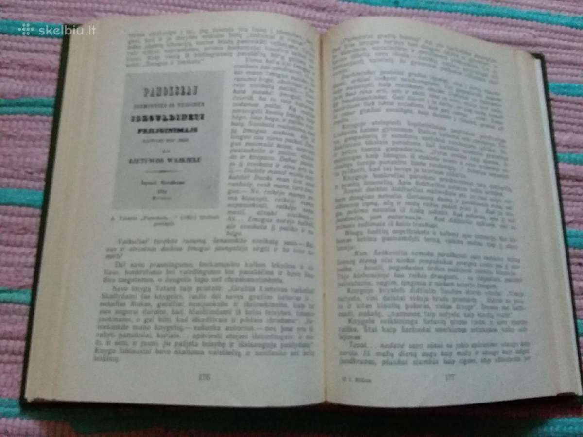 Lietuvių Literatūra XIX A. Pirmoji Pusė J. Riškus - nuotraukos Nr. 2