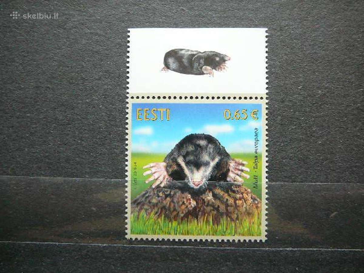 Kurmis Estija 2019 Mnh es966s