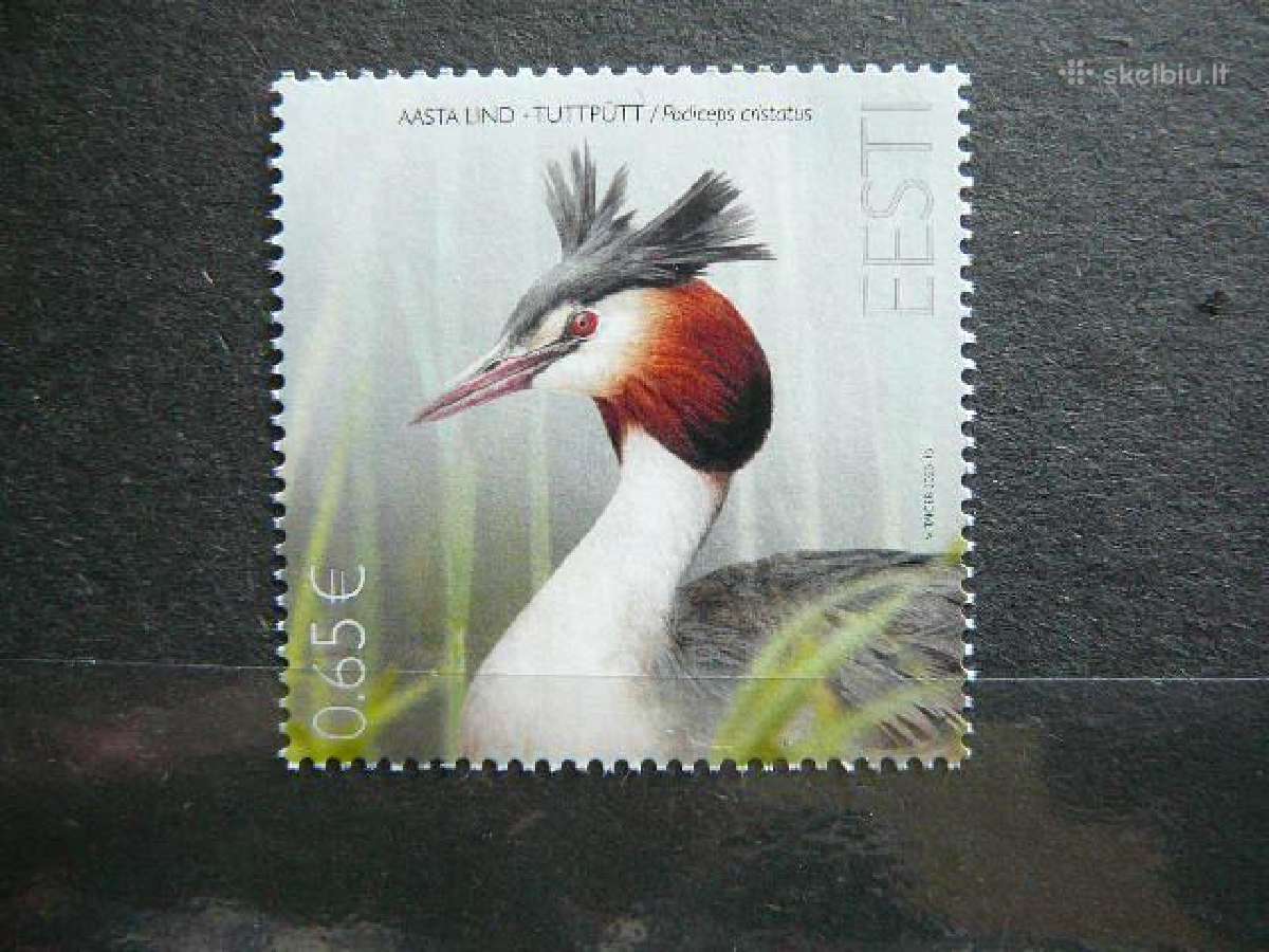 Pauksciai Estija 2020 Mnh es985s