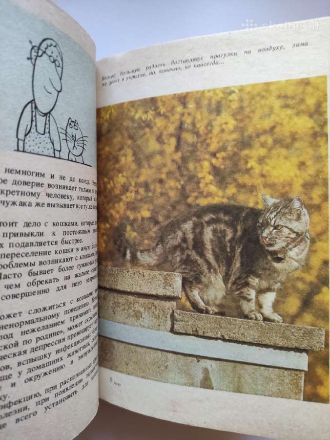 Patarimai kačių mylėtojams.(1987m.) - nuotraukos Nr. 5