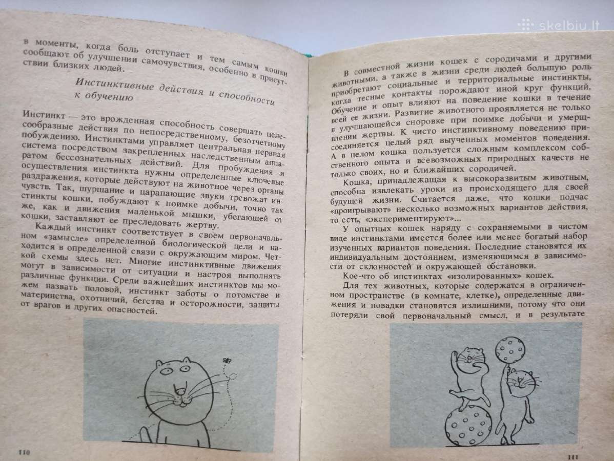 Patarimai kačių mylėtojams.(1987m.) - nuotraukos Nr. 7