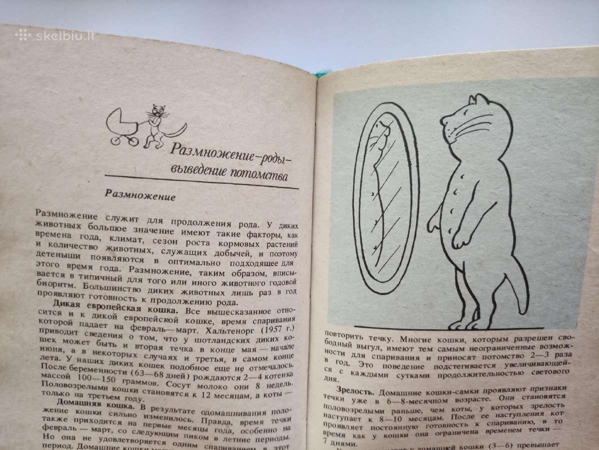 Patarimai kačių mylėtojams.(1987m.) - nuotraukos Nr. 12