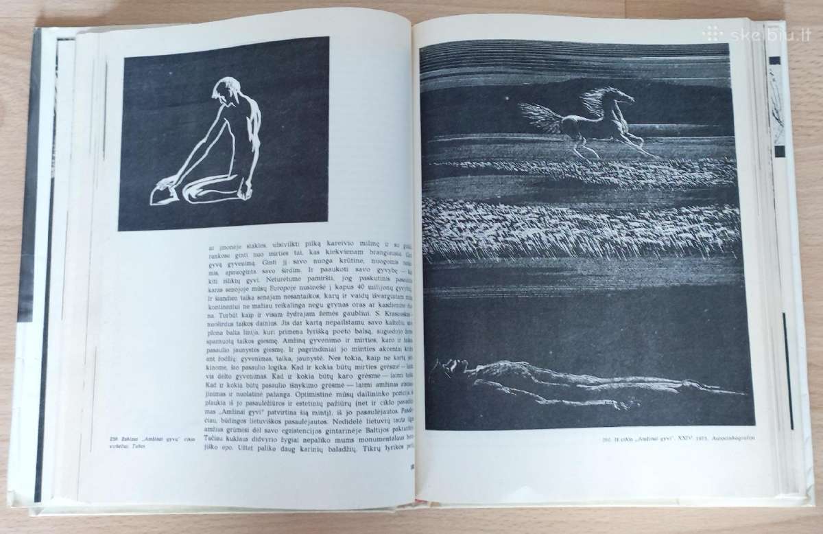 Knygos apie fotografiją, dailę ,literatūrą - nuotraukos Nr. 14